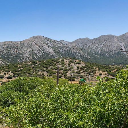 Villa Skyphos Ammoudari Bagian luar foto