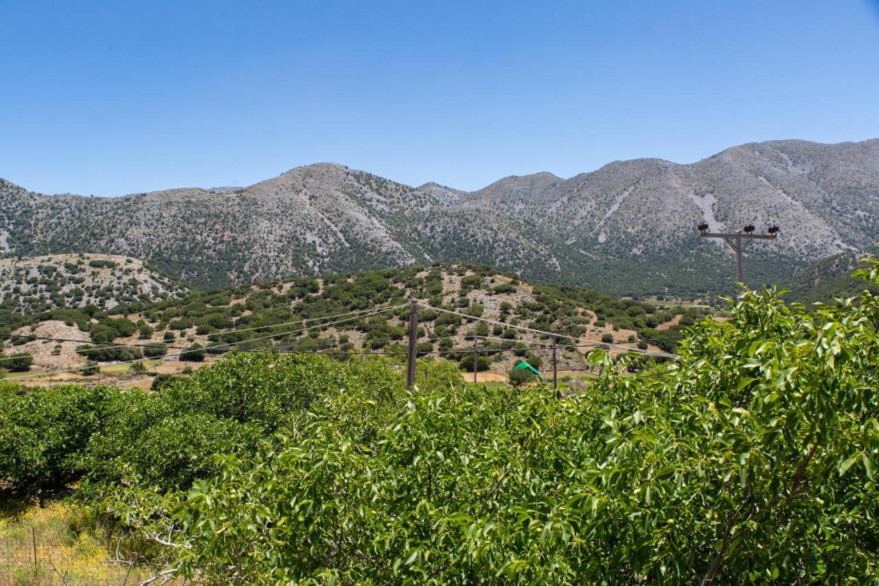 Villa Skyphos Ammoudari Bagian luar foto