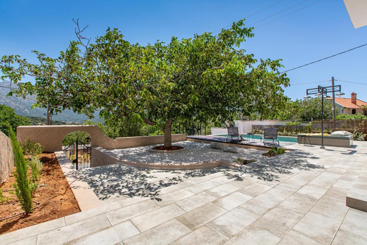 Villa Skyphos Ammoudari Bagian luar foto